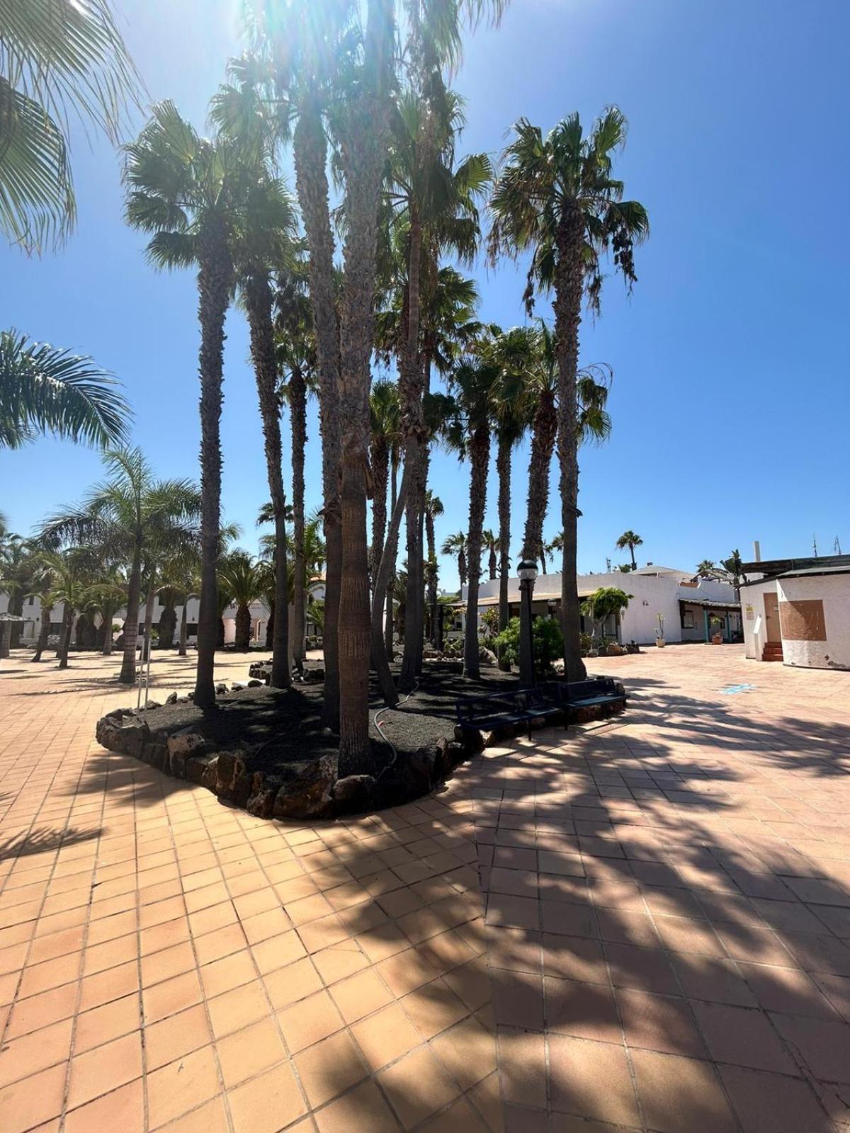 Apartamentos Gala Corralejo Buitenkant foto